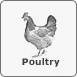 Wendland's poultry feed